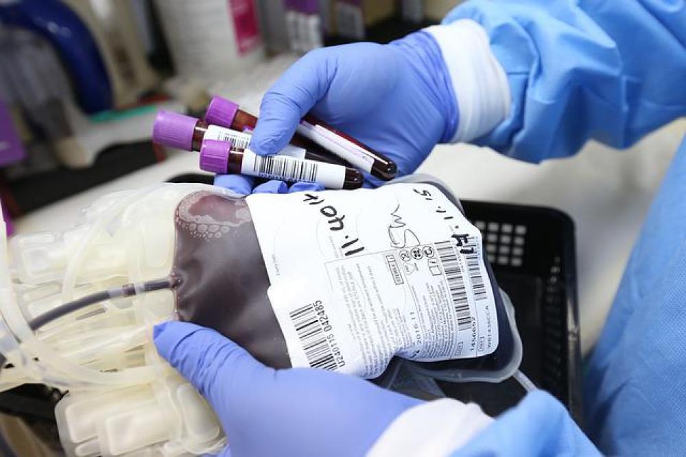 Sangue e plasma, "Ora una norma per i donatori che renda più semplici i permessi dal lavoro"